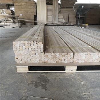 Paulownia träfasremsa