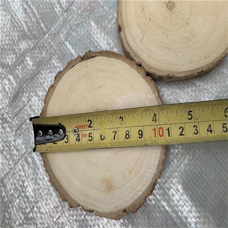 Wood Slice